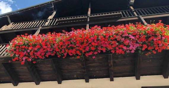 hotel-gressoney-saint-jean-gran-baita-balcone hotel-gressoney-saint-jean-gran-baita-balcone