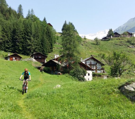 Escursioni in E-bike